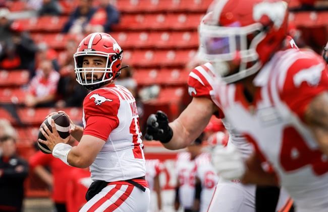 Stampeders pounce on Lions for 30-6 pre-season win | iNFOnews.ca