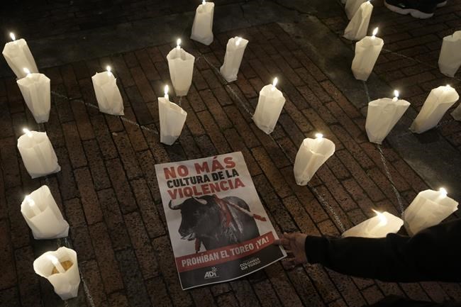 Colombia's congress votes to ban bullfights, dealing a blow to the centuries-old tradition | iNFOnews.ca