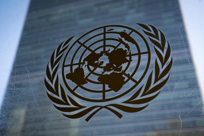 UN extends arms embargo on South Sudan despite appeals from African Union, Russia and China | iNFOnews.ca