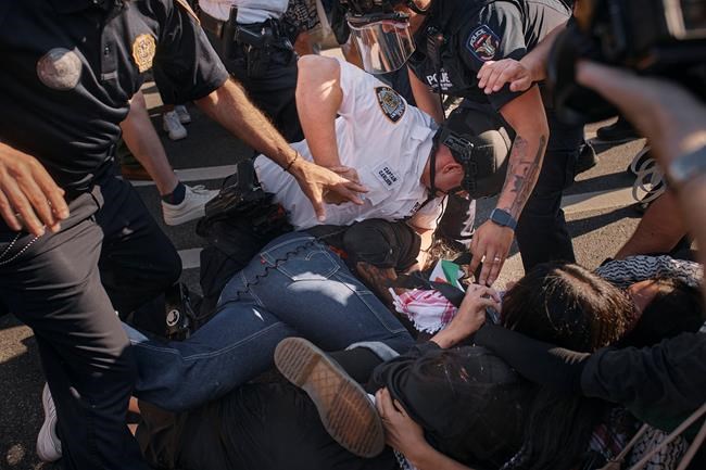 Pro-Palestinian protesters enter Brooklyn Museum, unfurl banner as police make arrests | iNFOnews.ca