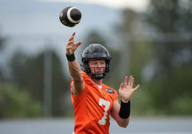 Edmonton Elks sign veteran short-yardage quarterback Dakota Prukop | iNFOnews.ca