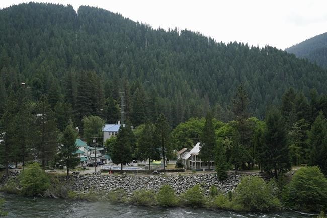 Woman's 2023 death was first fatal black bear attack on a human in California records, officials say | iNFOnews.ca