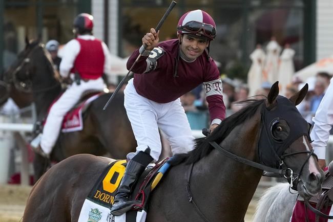 Dornoch pulls off an upset to win the first Belmont Stakes run at Saratoga Race Course at 17-1 | iNFOnews.ca
