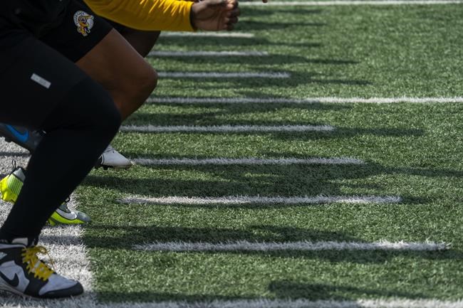 Hamilton Tiger-Cats sign quarterback Taulia Tagovailoa to their practice roster | iNFOnews.ca Hamilton Tiger-Cats sign quarterback Taulia Tagovailoa to their practice roster | iNFOnews.ca