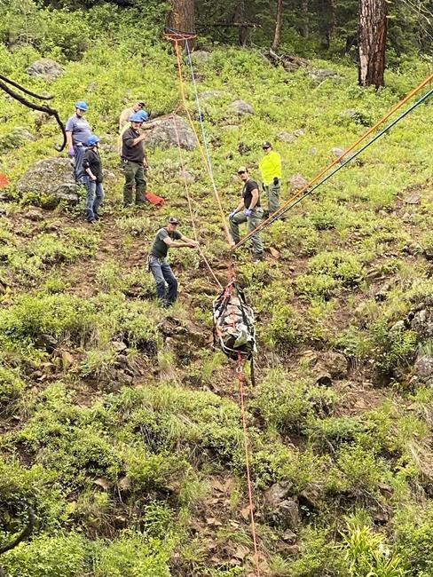 A dog helped his owner get rescued after a car crash in a remote, steep ravine in Oregon | iNFOnews.ca