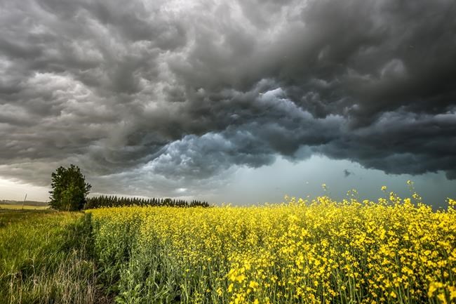 Environment Canada issues thunderstorm warnings, watches in B.C., Alberta | iNFOnews.ca