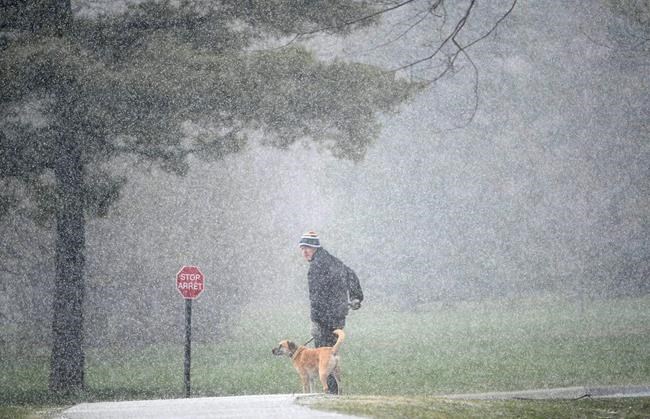 Witnesses report pea-sized hail as storm hits parts of B.C.'s south coast | iNFOnews.ca Witnesses report pea-sized hail as storm hits parts of B.C.'s south coast | iNFOnews.ca