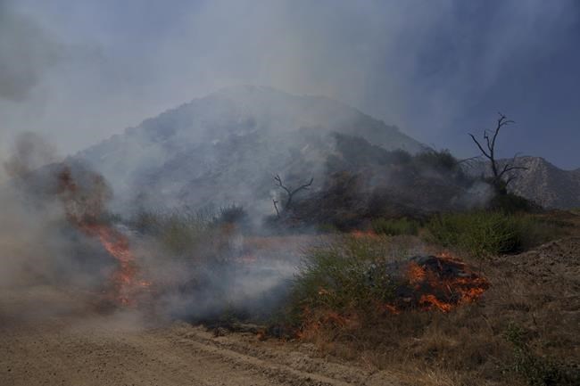 Strong winds, steep terrain hamper crews battling Los Angeles area's first major fire of the year | iNFOnews.ca Strong winds, steep terrain hamper crews battling Los Angeles area's first major fire of the year | iNFOnews.ca