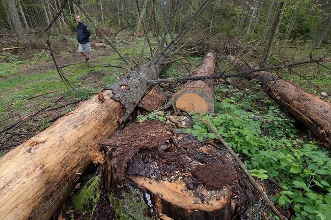Landmark EU nature restoration plan gets the green light despite months of protests by farmers | iNFOnews.ca