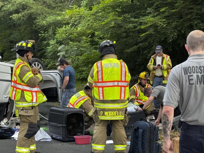 Minivan carrying more than a dozen puppies crashes in Connecticut. Most are OK | iNFOnews.ca Minivan carrying more than a dozen puppies crashes in Connecticut. Most are OK | iNFOnews.ca