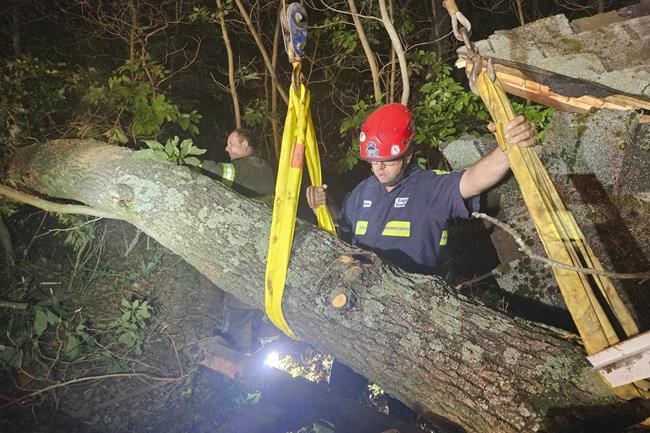 Tree destroys cabin at Michigan camp, trapping counselor in bed for 90 minutes | iNFOnews.ca