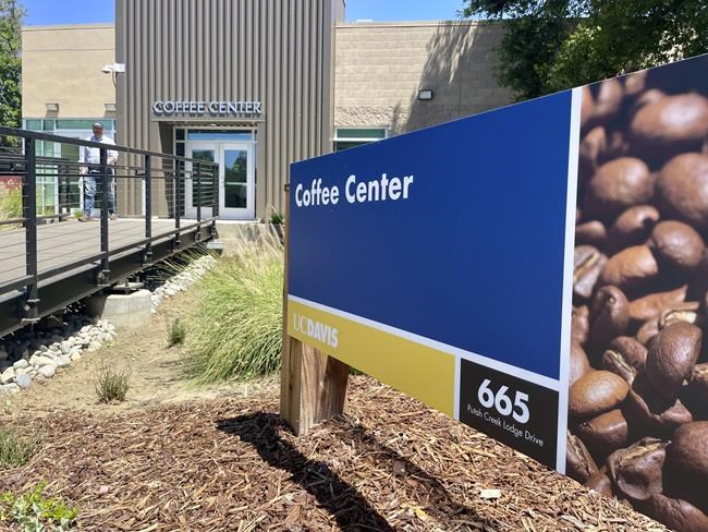 New coffee center in Northern California aims to give a jolt to research and education | iNFOnews.ca