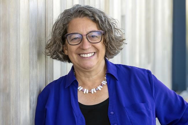Former CNN anchor takes on professor in primary aimed at finding Democrat who can win on Long Island | iNFOnews.ca Former CNN anchor takes on professor in primary aimed at finding Democrat who can win on Long Island | iNFOnews.ca