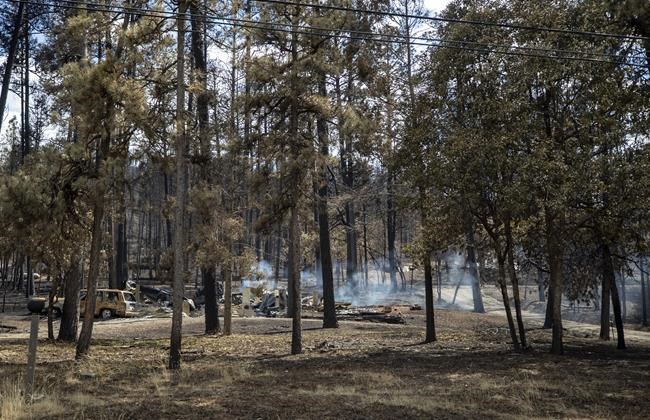 FBI offers reward for information about deadly southern New Mexico wildfires | iNFOnews.ca FBI offers reward for information about deadly southern New Mexico wildfires | iNFOnews.ca