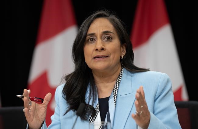 Ottawa keeps spending on influencers. Liberals say it's about stemming disinformation | iNFOnews.ca