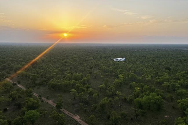 South Sudan says its 6M antelope make up world’s largest land mammal migration, but poaching on rise | iNFOnews.ca