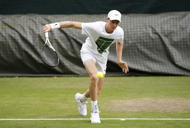 Wimbledon 2024: Novak Djokovic and Andy Murray are in the draw after recent operations | iNFOnews.ca Wimbledon 2024: Novak Djokovic and Andy Murray are in the draw after recent operations | iNFOnews.ca