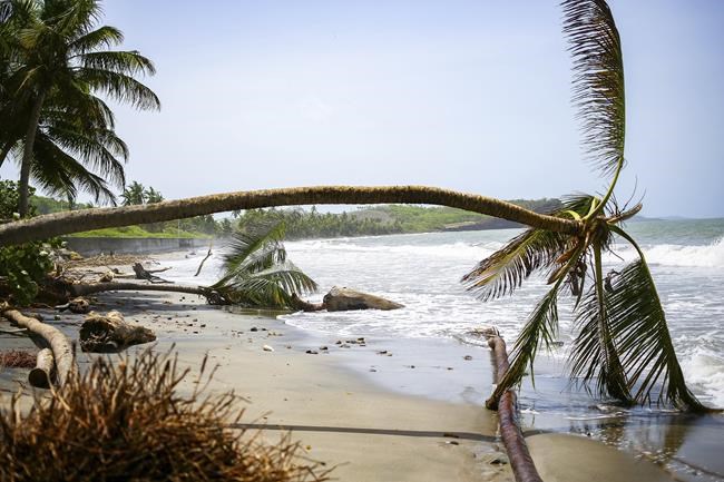 Canadians in Grenada and Montreal rally to help after hurricane Beryl devastation | iNFOnews.ca Canadians in Grenada and Montreal rally to help after hurricane Beryl devastation | iNFOnews.ca