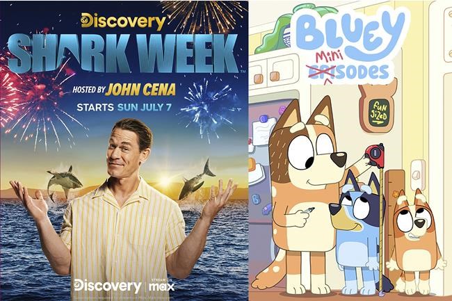 What to stream this weekend: Eddie Murphy in Beverly Hills, Emma Roberts in space, 'Bluey' minisodes | iNFOnews.ca
