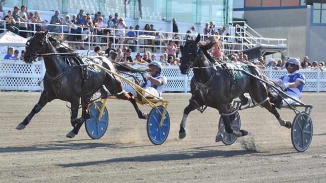 Harness racing driver James MacDonald captures 2024 Canadian driving championship | iNFOnews.ca Harness racing driver James MacDonald captures 2024 Canadian driving championship | iNFOnews.ca