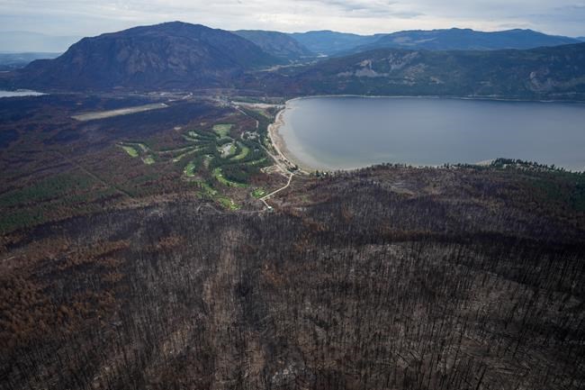 B.C. heat wave may increase wildfire activity but reduce lightning starts: BCWS | iNFOnews.ca