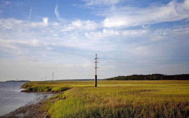 Judge approves referendum sought by slave descendants to challenge rezoning of island community | iNFOnews.ca Judge approves referendum sought by slave descendants to challenge rezoning of island community | iNFOnews.ca