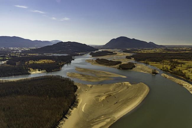 Environmental group buys Fraser River island near Chilliwack, B.C., to protect salmon | iNFOnews.ca Environmental group buys Fraser River island near Chilliwack, B.C., to protect salmon | iNFOnews.ca