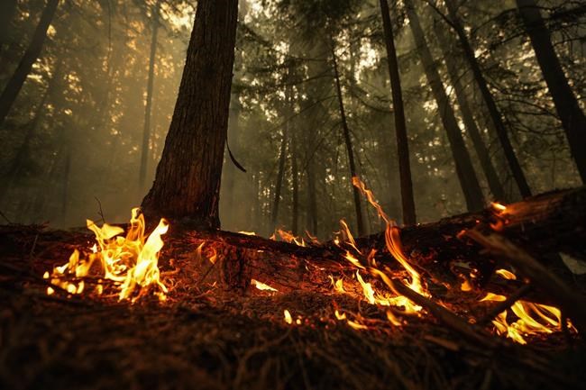 Active wildfires tick up in central B.C., risk of lightning coming to the north | iNFOnews.ca Active wildfires tick up in central B.C., risk of lightning coming to the north | iNFOnews.ca