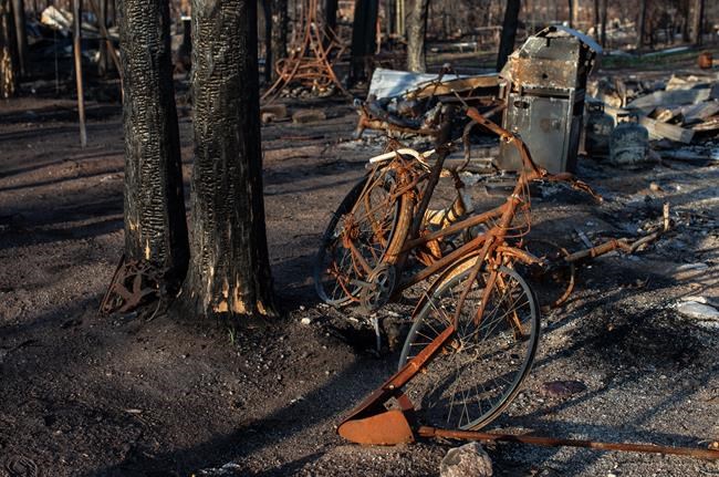 Wildfire season close to 10-year average heading into the peak summer months | iNFOnews.ca