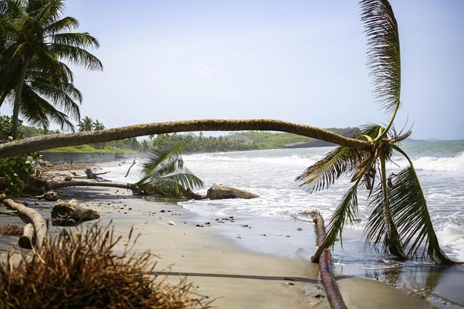 Caribbean seeks help in fighting climate change after Hurricane Beryl devastates small islands | iNFOnews.ca Caribbean seeks help in fighting climate change after Hurricane Beryl devastates small islands | iNFOnews.ca