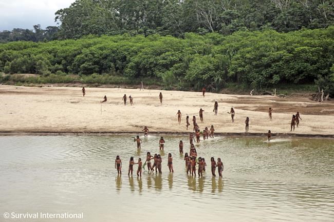 Group says photos of reclusive tribe on Peru beach show logging concessions are 'dangerously close' | iNFOnews.ca Group says photos of reclusive tribe on Peru beach show logging concessions are 'dangerously close' | iNFOnews.ca
