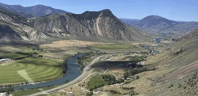 A man kills a grizzly bear in Montana after it attacks while he is picking berries | iNFOnews.ca A man kills a grizzly bear in Montana after it attacks while he is picking berries | iNFOnews.ca