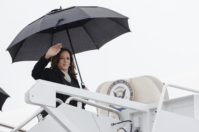 Democratic delegates cite new energy while rallying behind Kamala Harris for president | iNFOnews.ca Democratic delegates cite new energy while rallying behind Kamala Harris for president | iNFOnews.ca