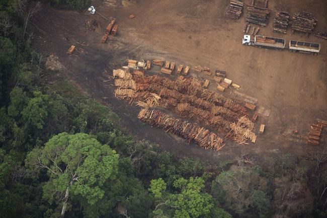 Brazil to allow miles of selective logging in effort to preserve the Amazon | iNFOnews.ca Brazil to allow miles of selective logging in effort to preserve the Amazon | iNFOnews.ca