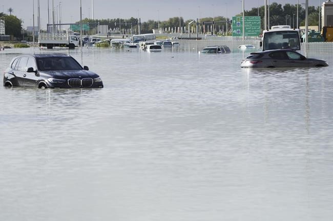 Floods and climate change blamed for surge in dengue in the Emirates as WHO warns of global spike | iNFOnews.ca Floods and climate change blamed for surge in dengue in the Emirates as WHO warns of global spike | iNFOnews.ca