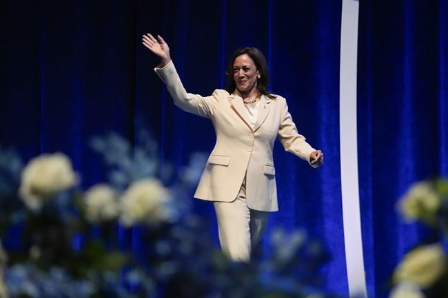 Democrats poised to virtually nominate Harris - and her running mate - by Aug. 7 | iNFOnews.ca