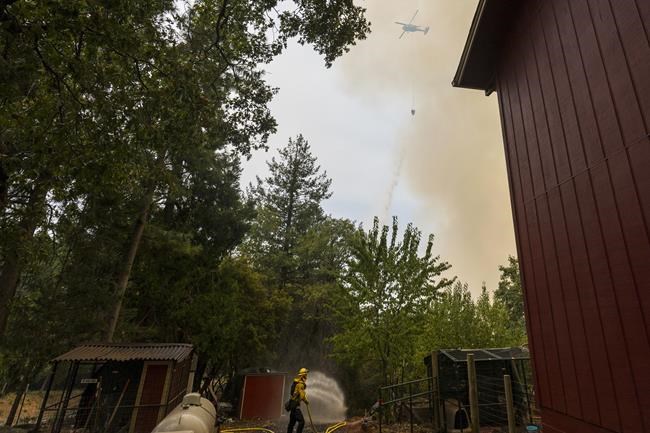 Fires in the West are becoming ever bigger, consuming. Why and what can be done? | iNFOnews.ca