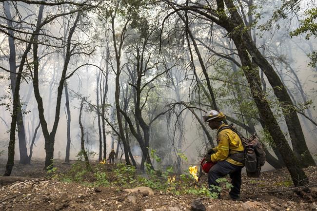 Firefighters helped by cooler weather battle blaze that has scorched area larger than Los Angeles | iNFOnews.ca
