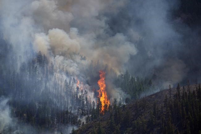 1 person killed in Colorado wildfires as blazes torch large areas of the U.S. West | iNFOnews.ca