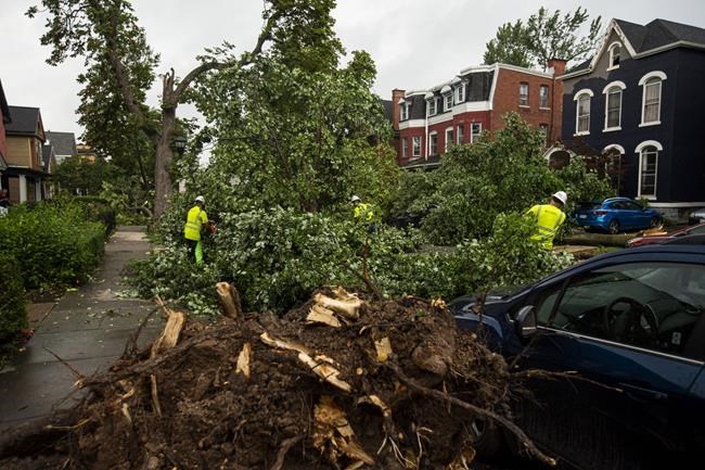 Tornado briefly sweeps into Buffalo, damaging buildings and scattering tree limbs | iNFOnews.ca Tornado briefly sweeps into Buffalo, damaging buildings and scattering tree limbs | iNFOnews.ca