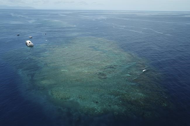 Great Barrier Reef waters were hottest in 400 years over the past decade, study finds | iNFOnews.ca Great Barrier Reef waters were hottest in 400 years over the past decade, study finds | iNFOnews.ca