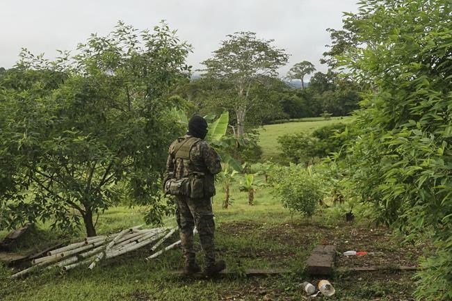 Panama arrests 15 people for smuggling Chinese migrants through the Darien Gap | iNFOnews.ca