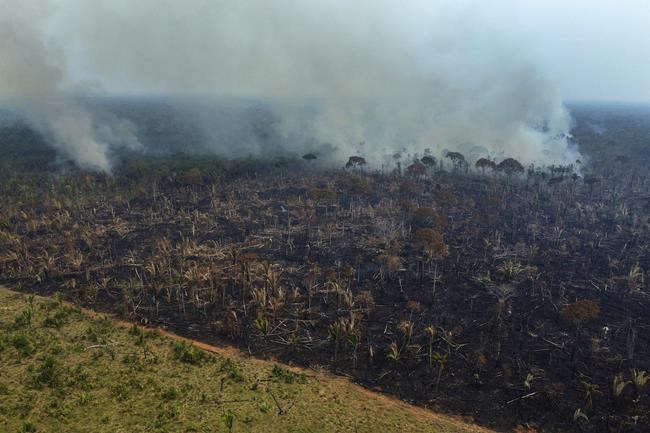 Deforestation in Brazil's Amazon rainforest is down to lowest level since 2016, government says | iNFOnews.ca