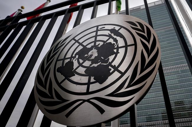 The UN is moving to fight cybercrime but privacy groups say human rights will be violated | iNFOnews.ca
