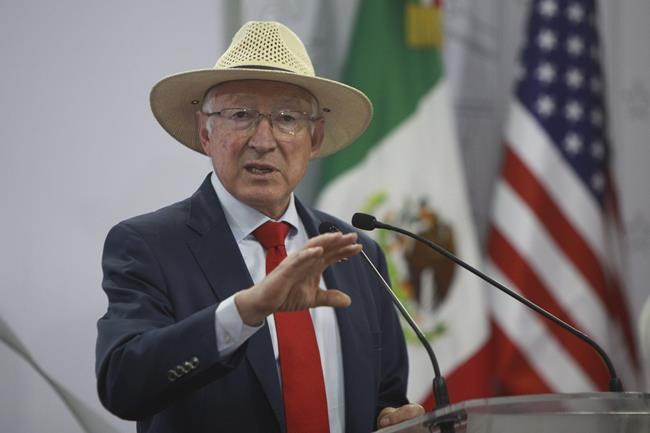 US ambassador confirms Mexican drug lord Ismael 'El Mayo' Zambada was brought to US against his will | iNFOnews.ca US ambassador confirms Mexican drug lord Ismael 'El Mayo' Zambada was brought to US against his will | iNFOnews.ca