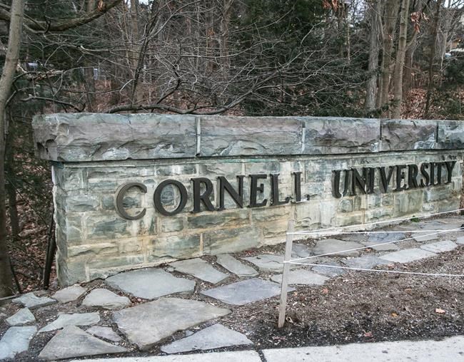 Former Cornell student gets 21 months in prison for posting violent threats to Jewish students | iNFOnews.ca