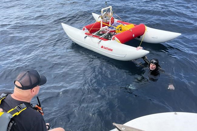 Marathon swimmer says he quit Lake Michigan swim after going in wrong direction with dead GPS | iNFOnews.ca Marathon swimmer says he quit Lake Michigan swim after going in wrong direction with dead GPS | iNFOnews.ca