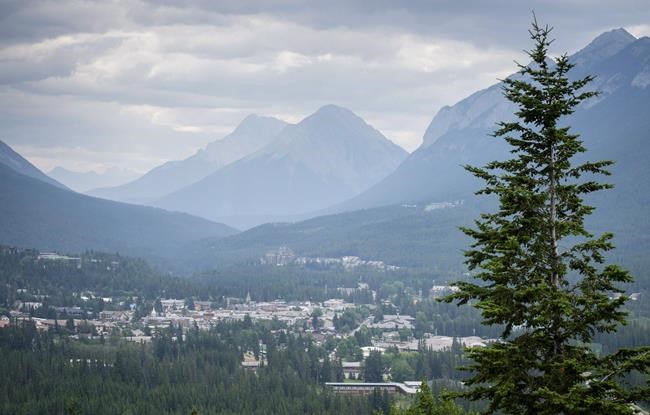 Banff mayor says reducing vehicles necessary after town votes no to pedestrian zone | iNFOnews.ca Banff mayor says reducing vehicles necessary after town votes no to pedestrian zone | iNFOnews.ca