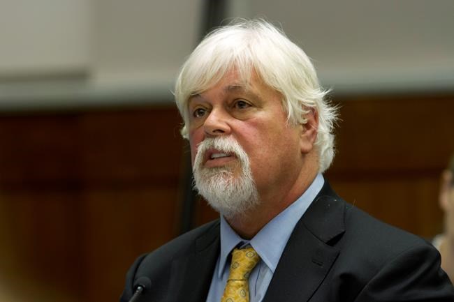 Greenland court orders anti-whaling activist Paul Watson must remain in custody until Sept. 5 | iNFOnews.ca Greenland court orders anti-whaling activist Paul Watson must remain in custody until Sept. 5 | iNFOnews.ca
