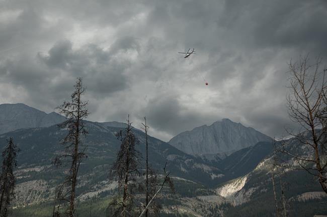 Jasper's burnt landscape could take more than a century to recover: wildfire expert | iNFOnews.ca